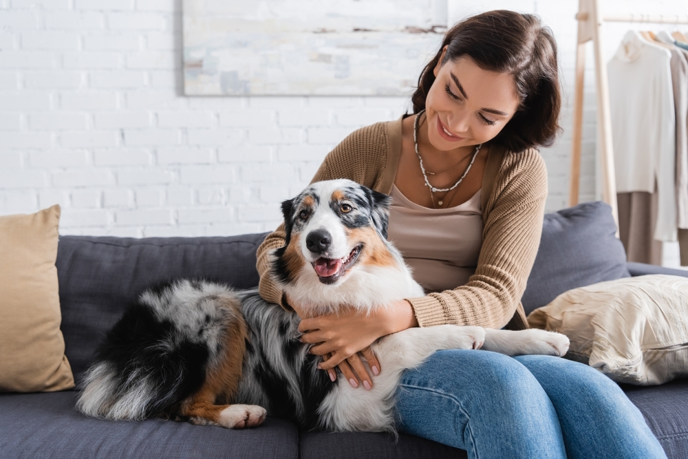 Are Pet Owners Better Parents Than Other People