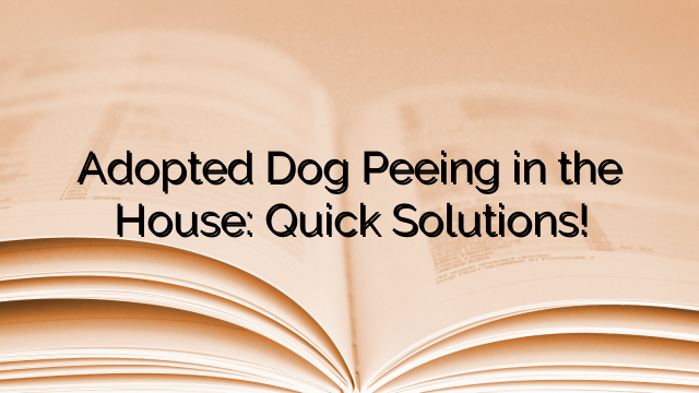 Adopted Dog Peeing in the House: Quick Solutions!
