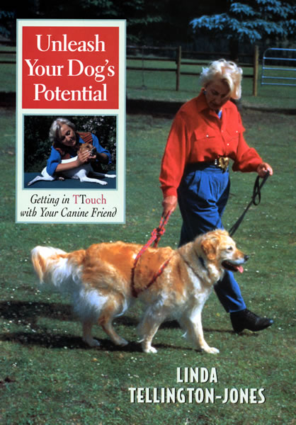 Dog Training DVD: Unleash Your Pet's Potential!