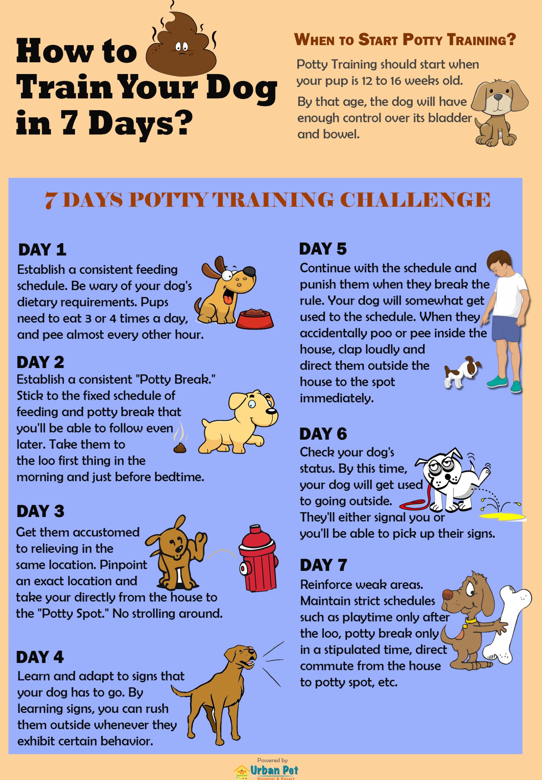 Last Resort for Dog Potty Training: Ultimate Solutions