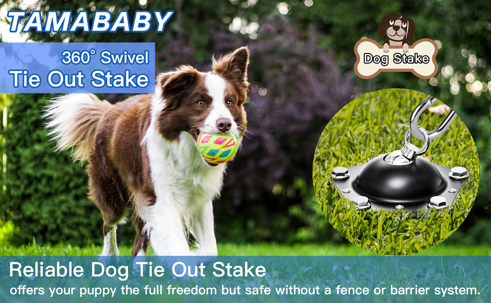 7Mm Dog Tie Out: Secure and Reliable Outdoor Freedom