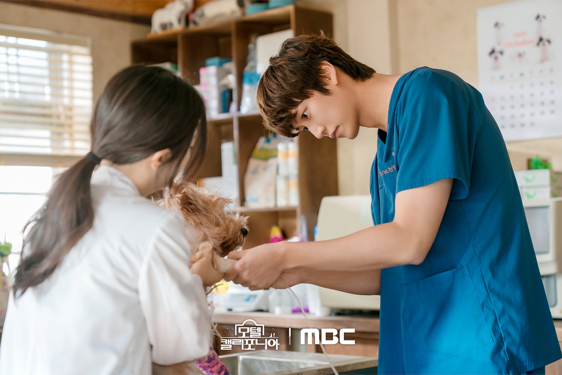 a day in the life emergency vet drama unveiled