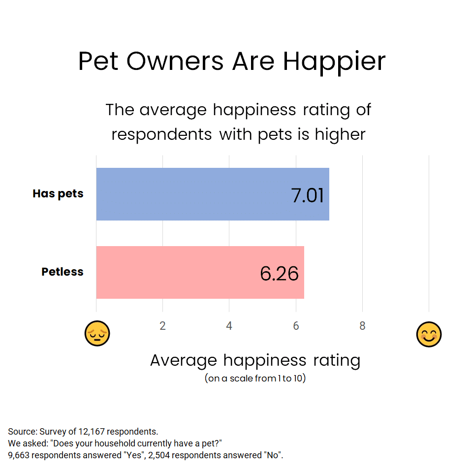 Are Pet Owners Happier Than Other People?: Unleashing Joy