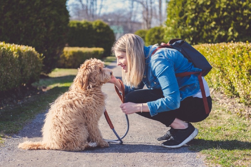 Are Pet Owners More Empathetic Than Others? Find Out!