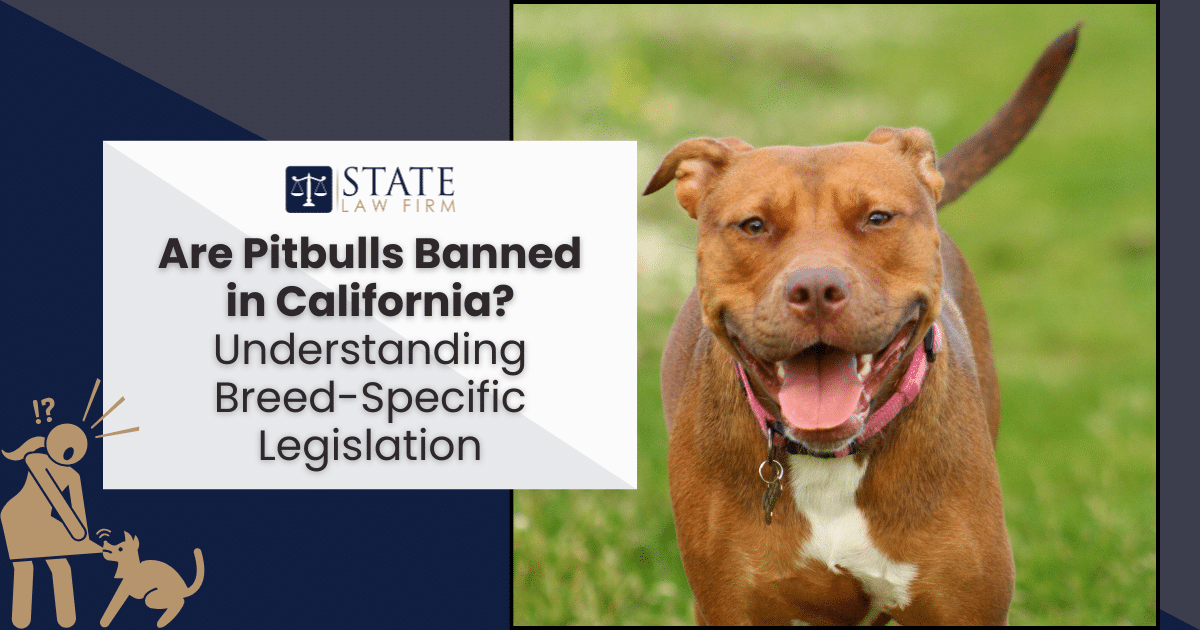 Are Pitbulls Banned in California?: Unveiling Truths