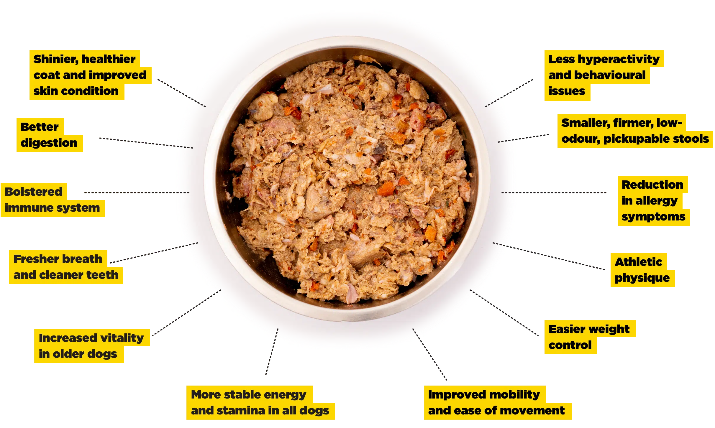 Are You Supposed to Feed Dogs Raw Meat: Expert Insights