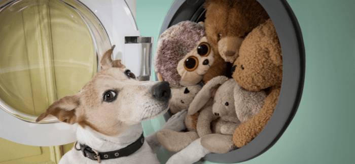 Are You Supposed to Wash Dog Toys? Essential Tips