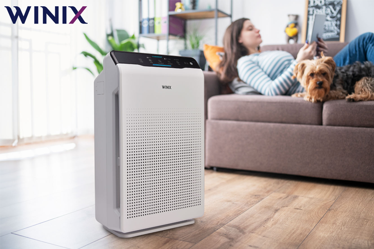 best air purifiers for homes with dogs breathe easy