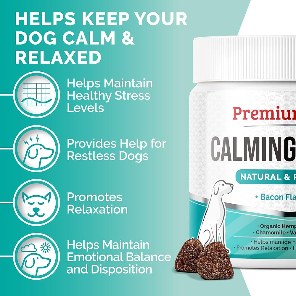 Best Calming Supplements for Dogs: Top Stress Busters