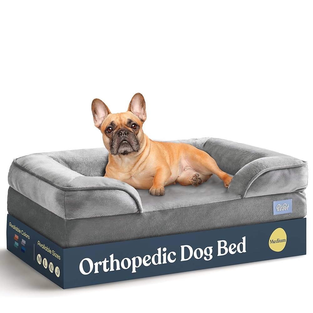 Best Dog Beds for Orthopedic Support: Ultimate Comfort Guide