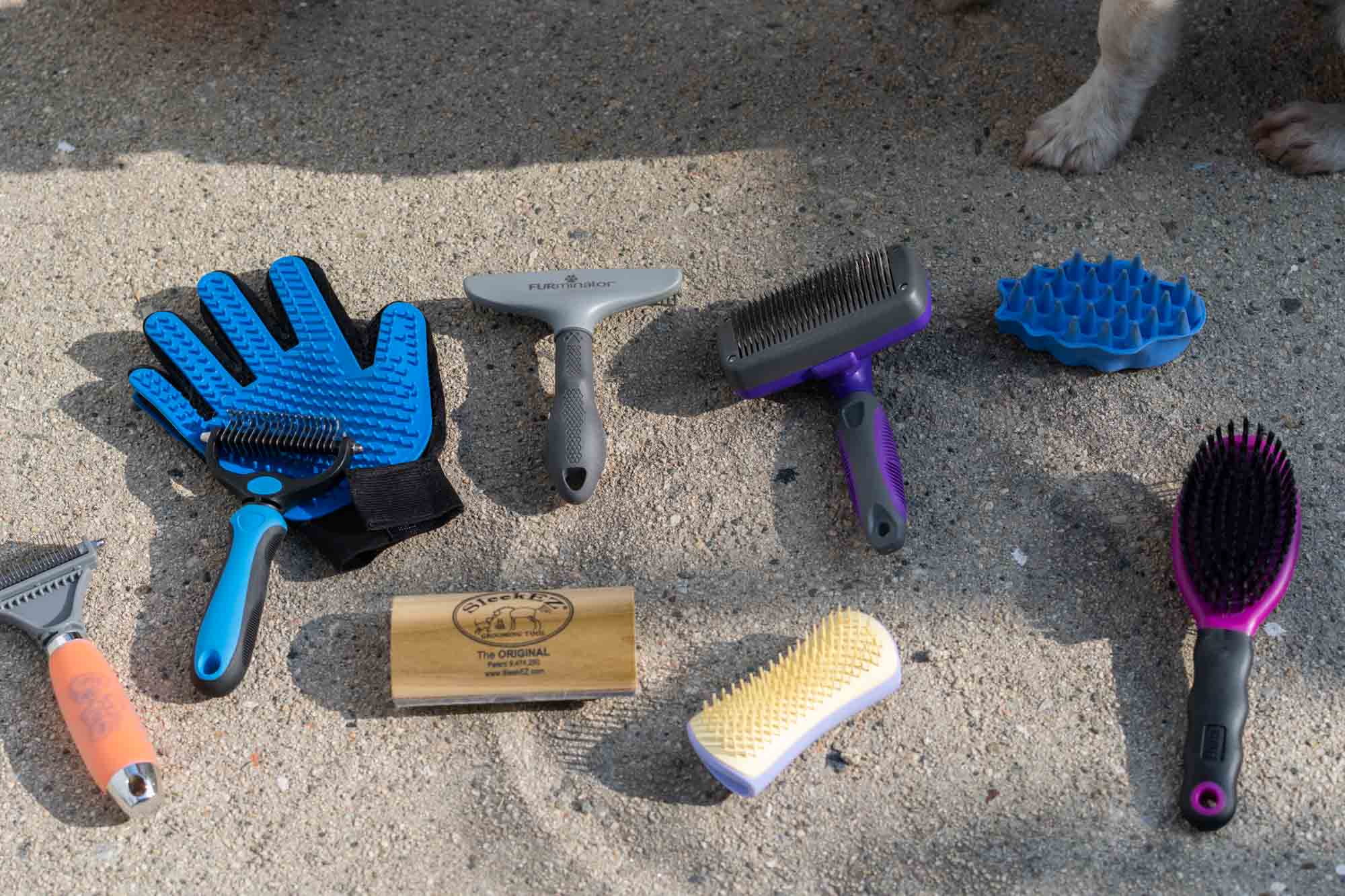 Best Dog Brushes for Shedding: Top 5 Picks for Pet Owners