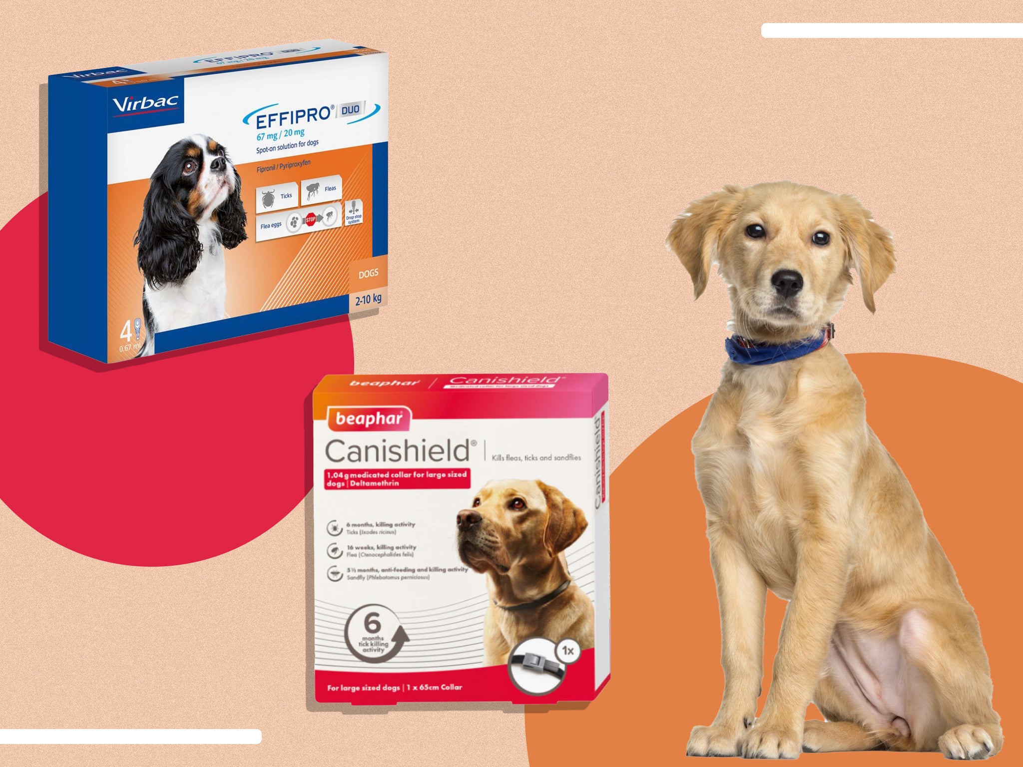 best dog flea treatments for sensitive skin top 10 vet approved 1