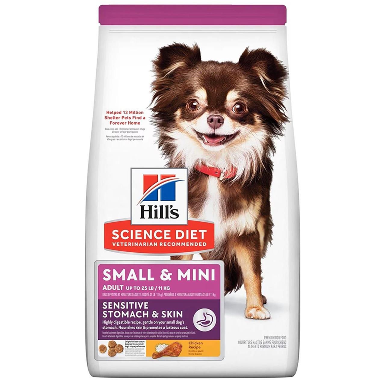 best dog food for sensitive stomachs top picks tips