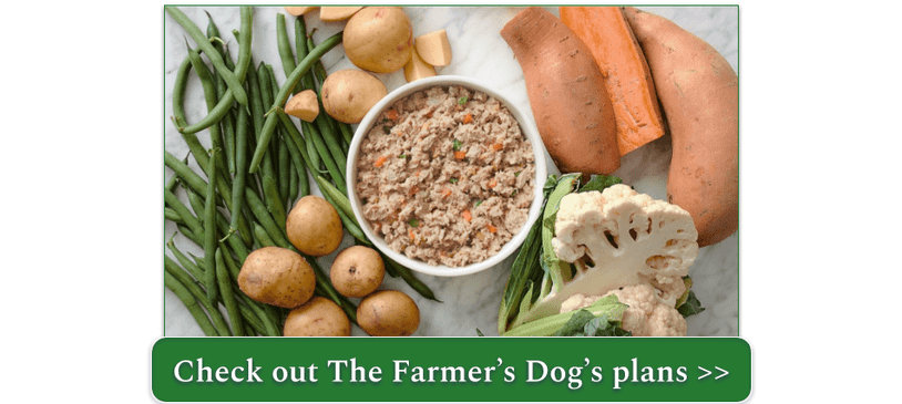Best Dog Foods for Dogs With Skin Allergies: Top Picks!