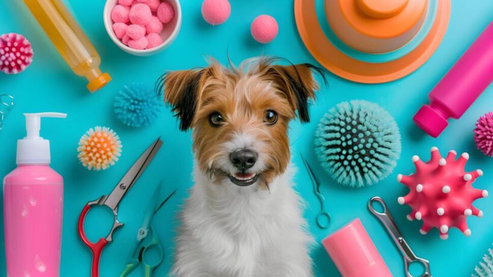 best dog grooming products for a healthy coat top picks
