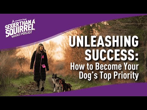 best dog podcasts for training tips unleash success 1