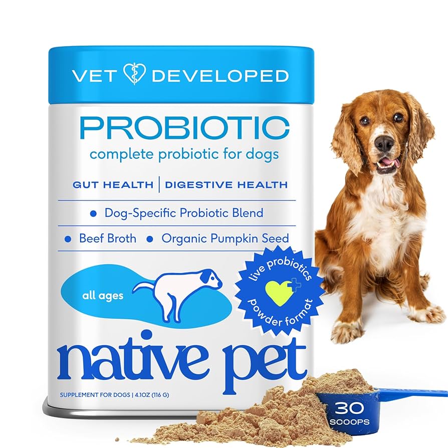 best dog probiotics for gut health canine wellness boost