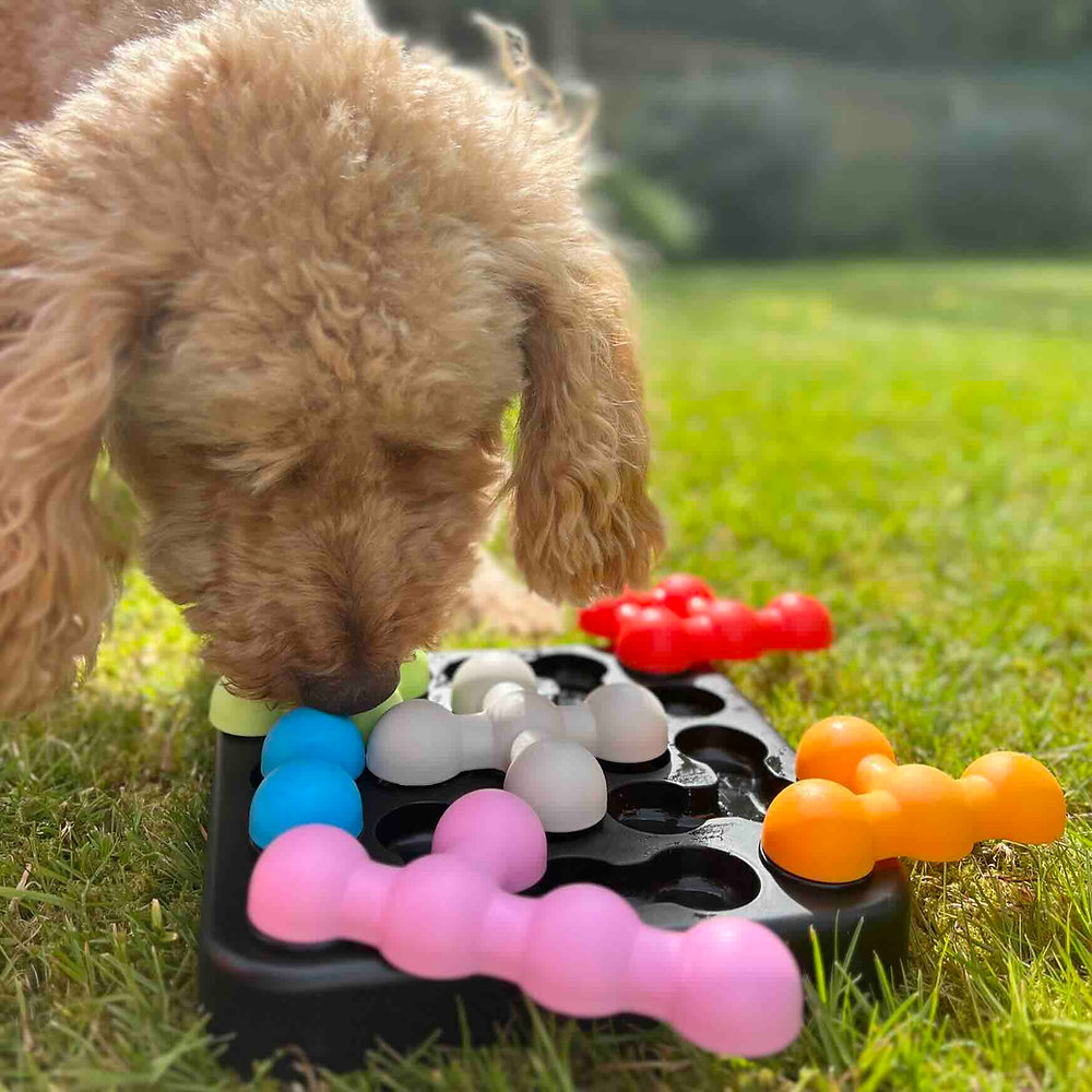 Best Dog Puzzles for Mental Stimulation: Smart Playtime Picks