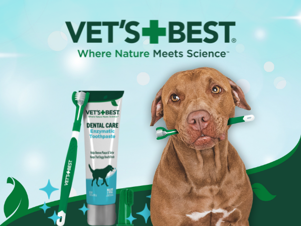 best dog toothpaste for fresh breath top picks 1