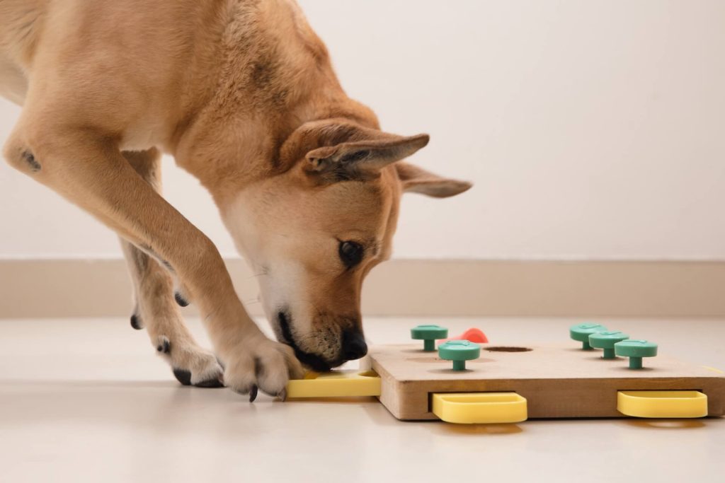 best dog toys for mental stimulation keep your pup engaged