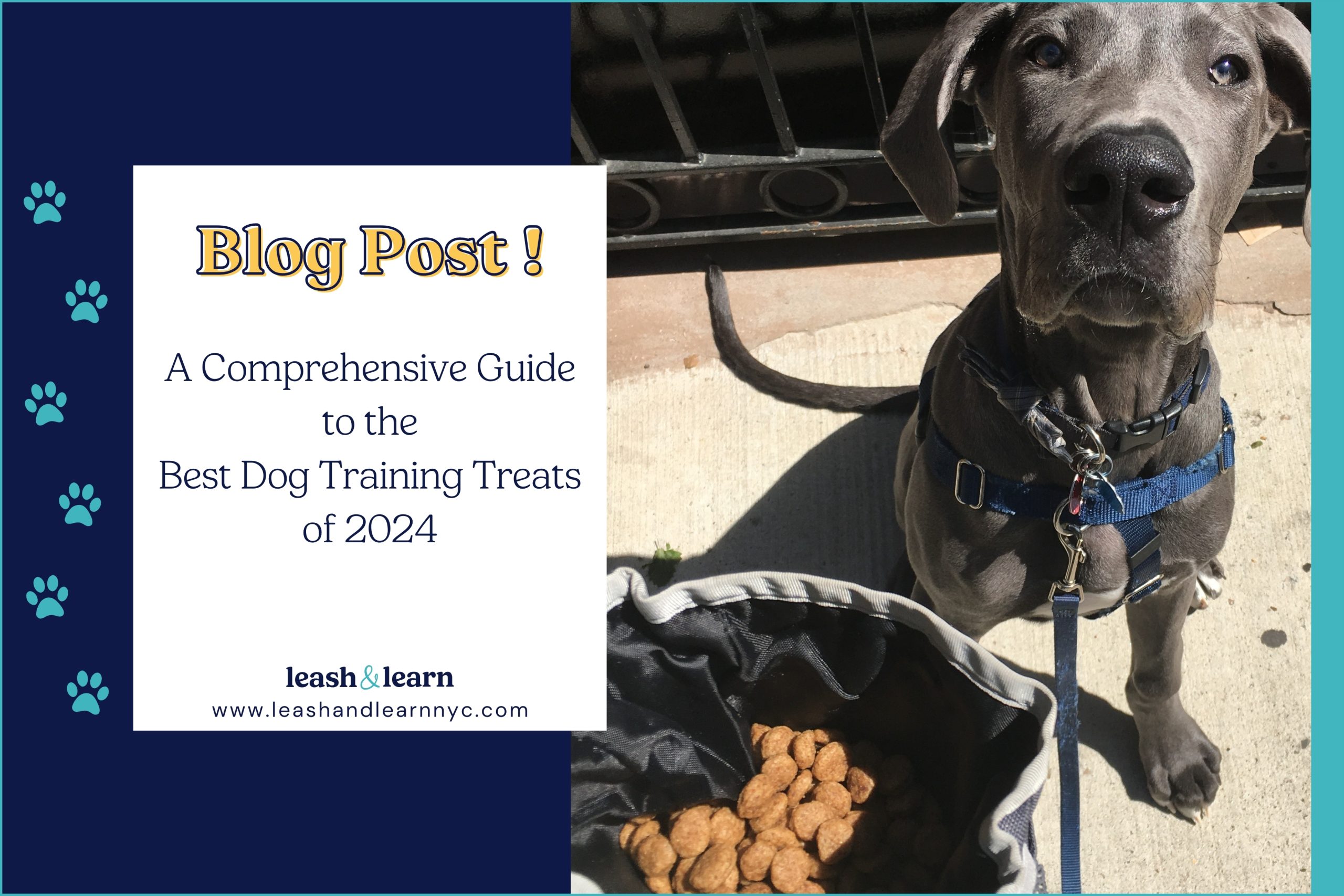 Best Dog Training Treats: Top Picks for Obedient Pups