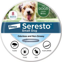 Best Flea And Tick Prevention for Dogs: Top Picks