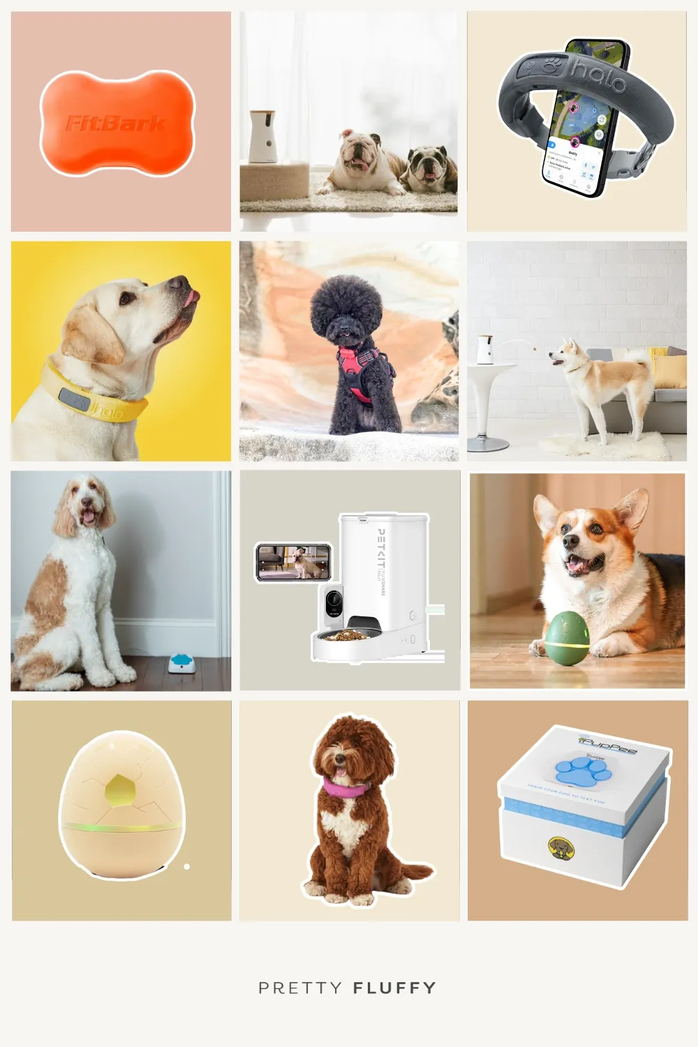 Best Place to Buy Dog Accessories: Top Picks for Pet Owners