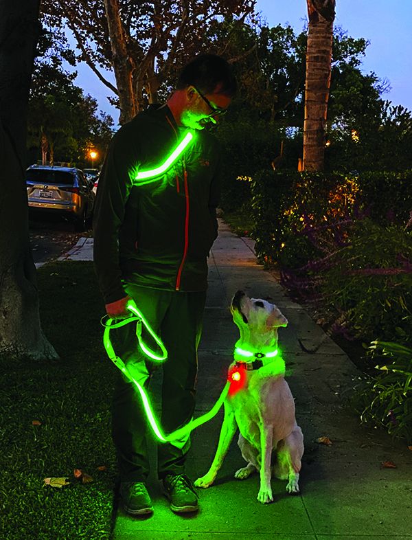 Best Reflective Dog Vests for Night Walks: Top Picks!