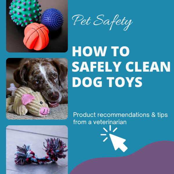 Best Way to Disinfect Dog Toys: Safe & Effective Tips
