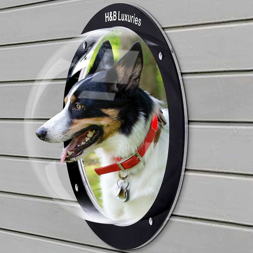 Block Window View for Dogs: Enhance Your Pet’s Comfort