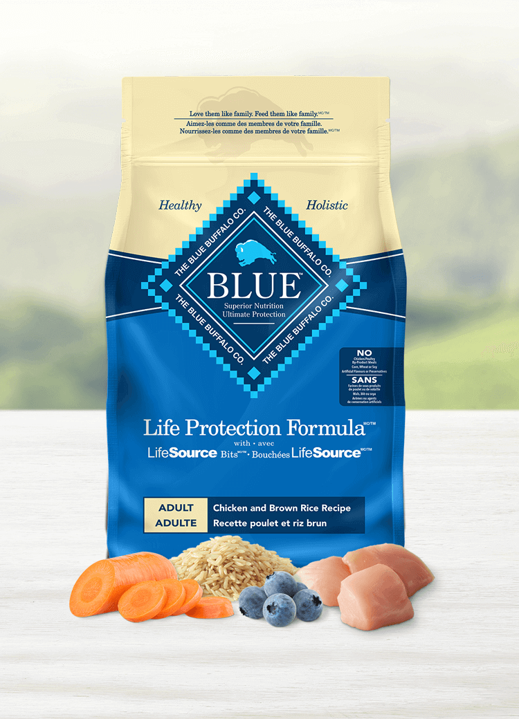 Blue Buffalo Life Protection Formula Adult Dry Dog Food: Natural Chicken & Brown Rice Recipe