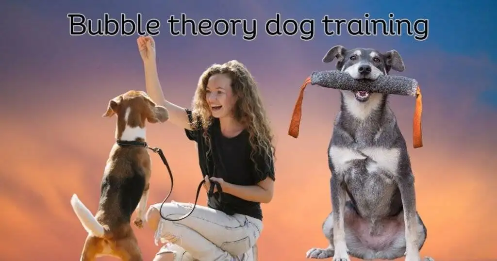 Bubble Theory Dog Training: Unleash Canine Potential