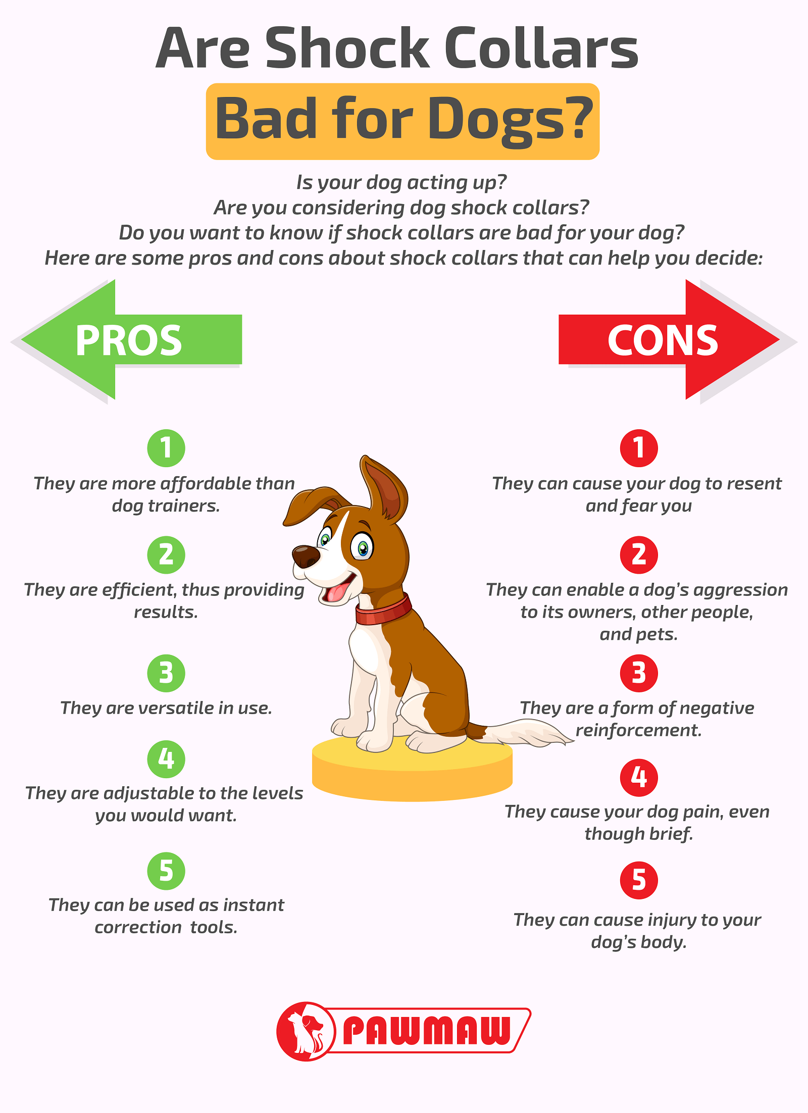 Can Dog Shock Collars Cause Seizures? Vital Insights