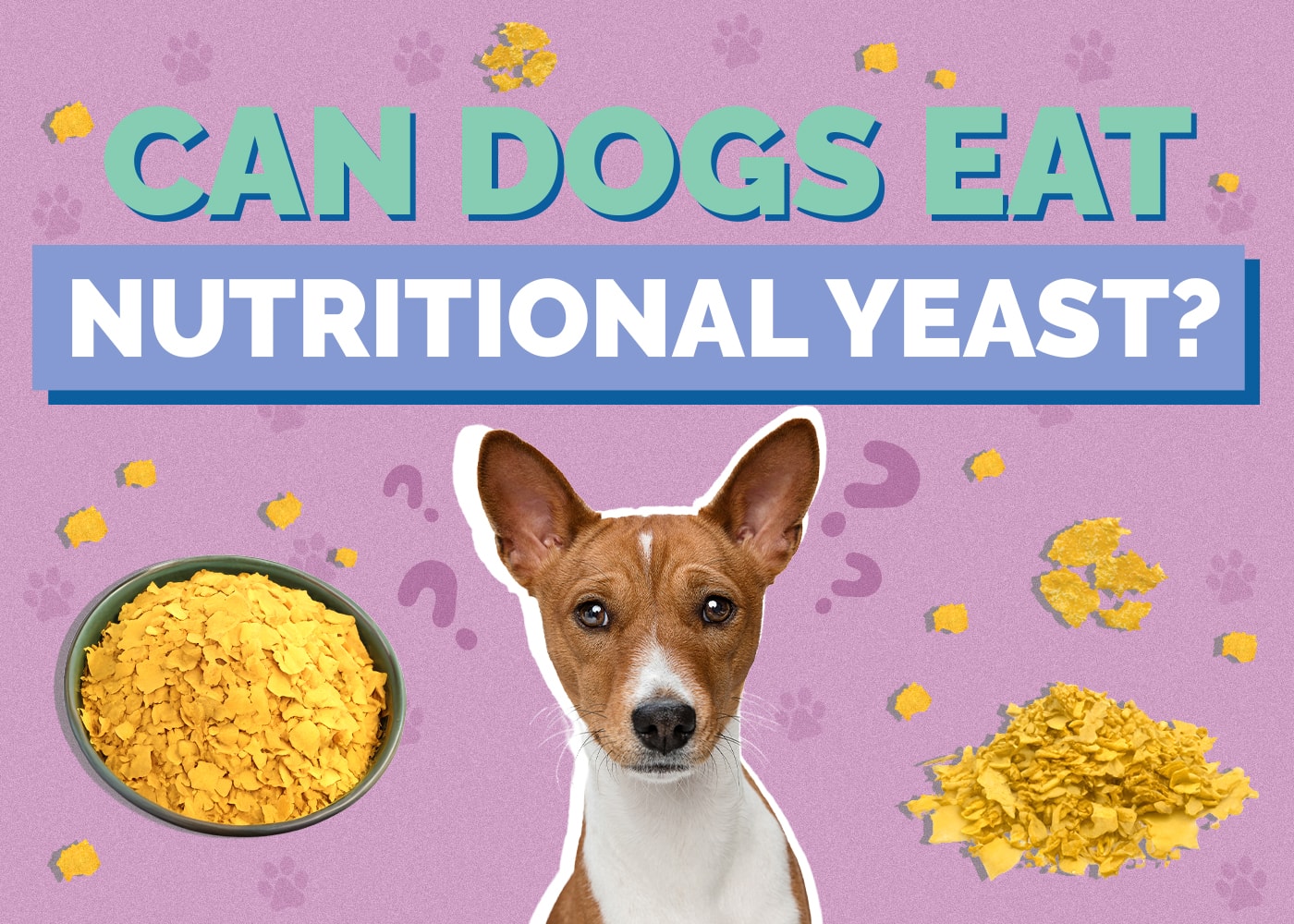 can you give dogs nutritional yeast vet insights