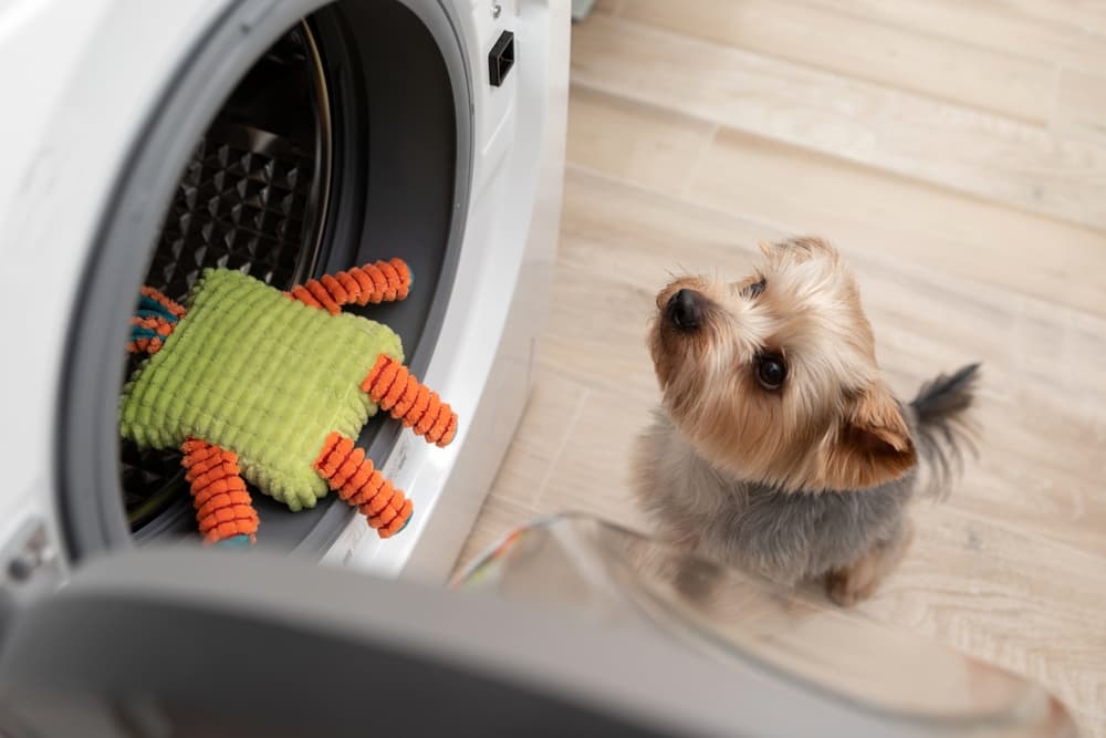 can you wash dog toys with detergent safety tips