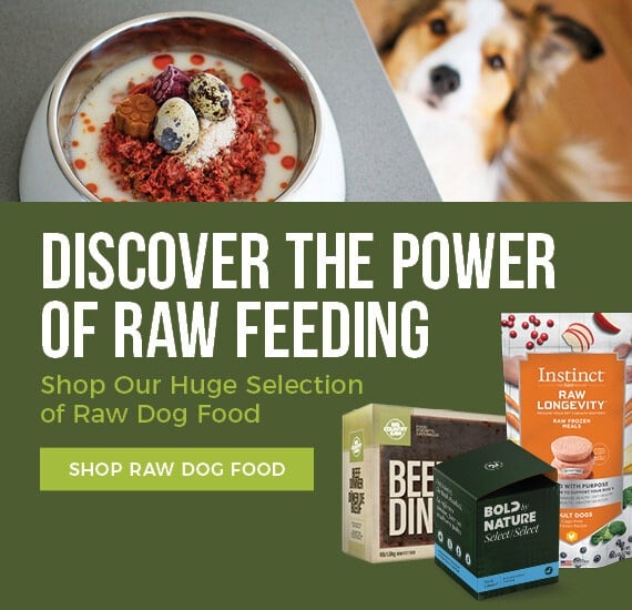 Cheapest Dog Diet: Thrive on a Budget!
