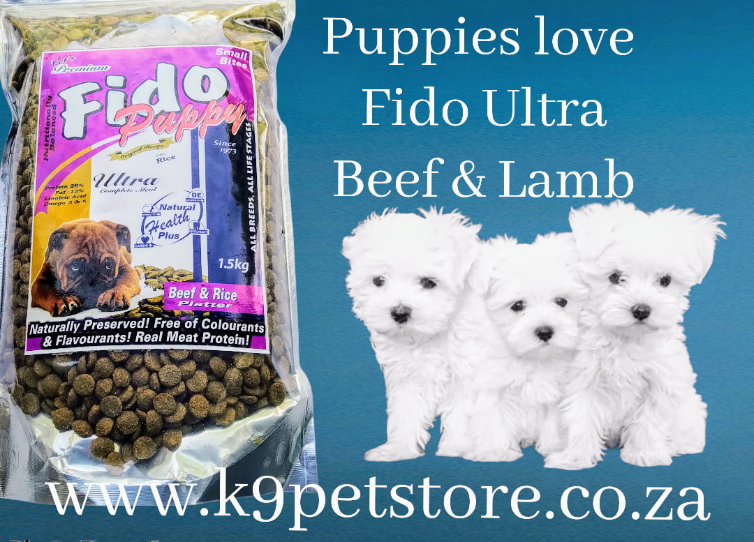 Cheapest Dog Food Delivery: Budget-Friendly Bites for Fido