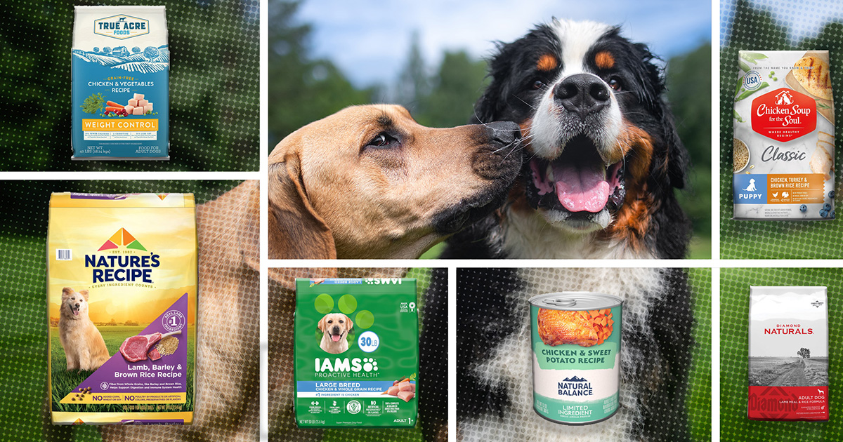 cheapest dog food online top budget friendly picks