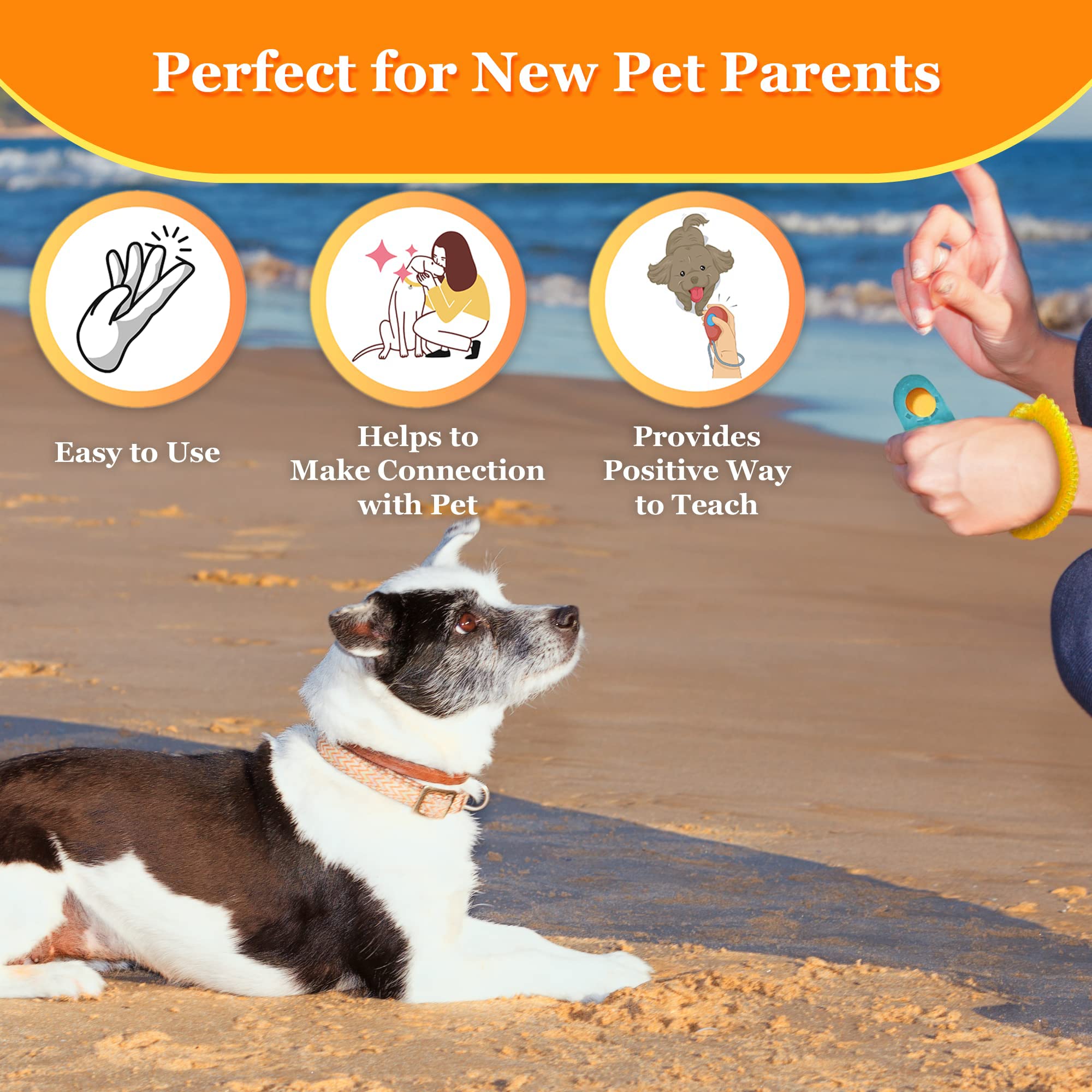 Clicker Training for Dogs: Unlock Fast Results and Happy Pets