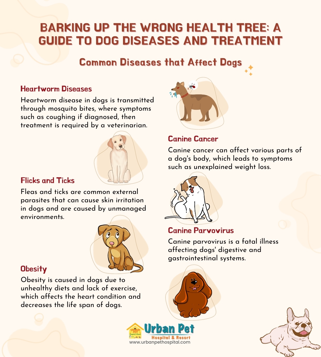 common dog health issues and how to prevent them vital tips