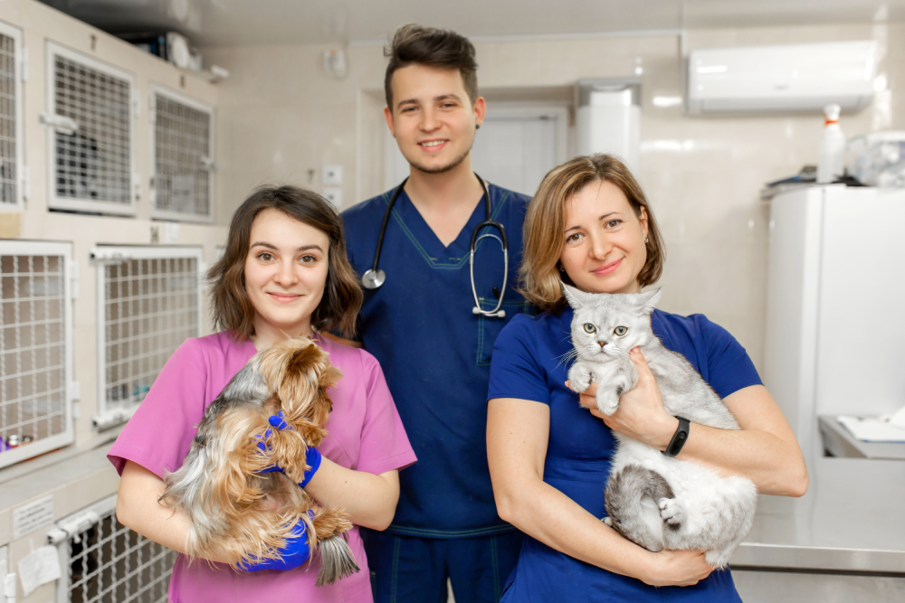 crowdfunding for vet bills easy guide to aid pets