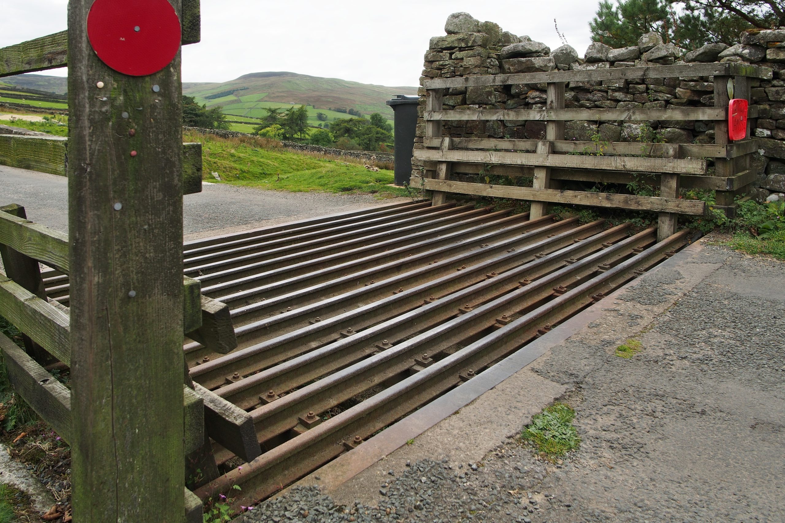 Do Cattle Grid Stop Dogs? Unleash the Truth