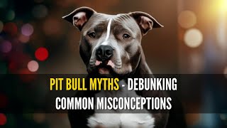 Do Pitbulls Drool a Lot? Debunking the Myths