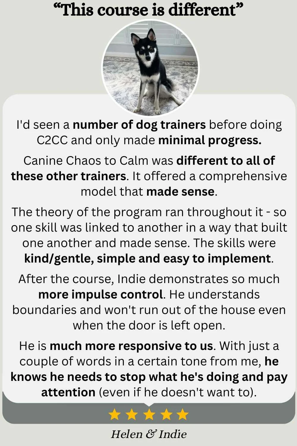 does dog behavior training work discover proven success tips