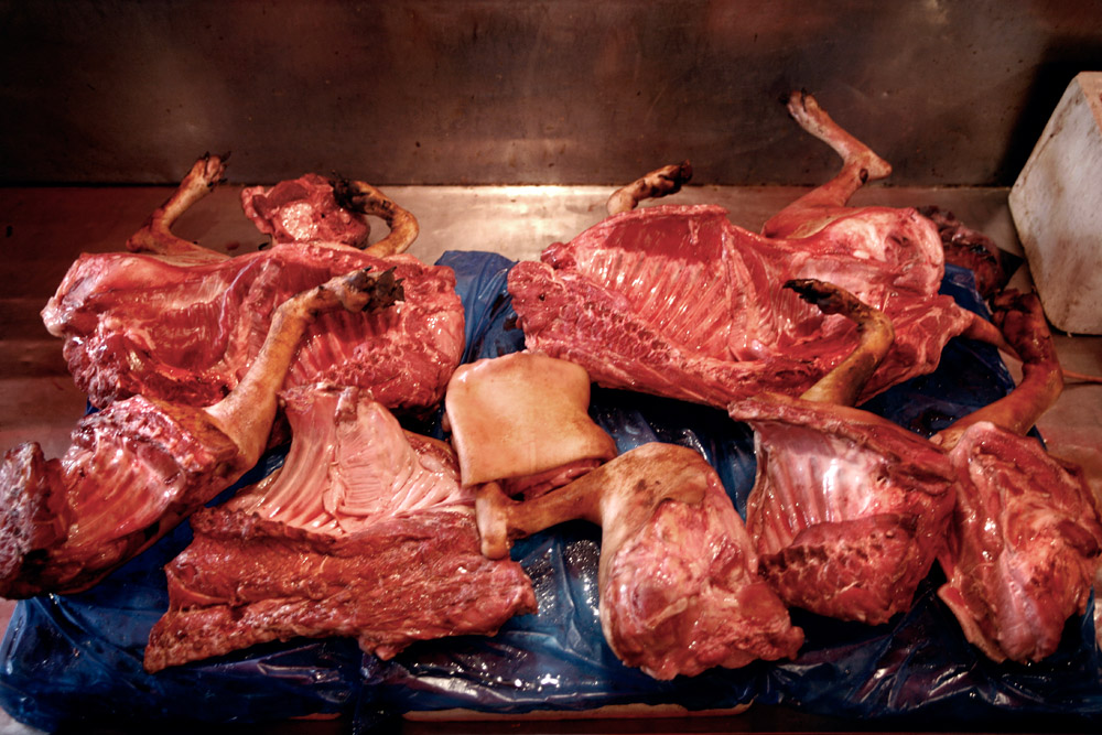 Does Dog Meat Have Nutritional Value? Unveiling Facts