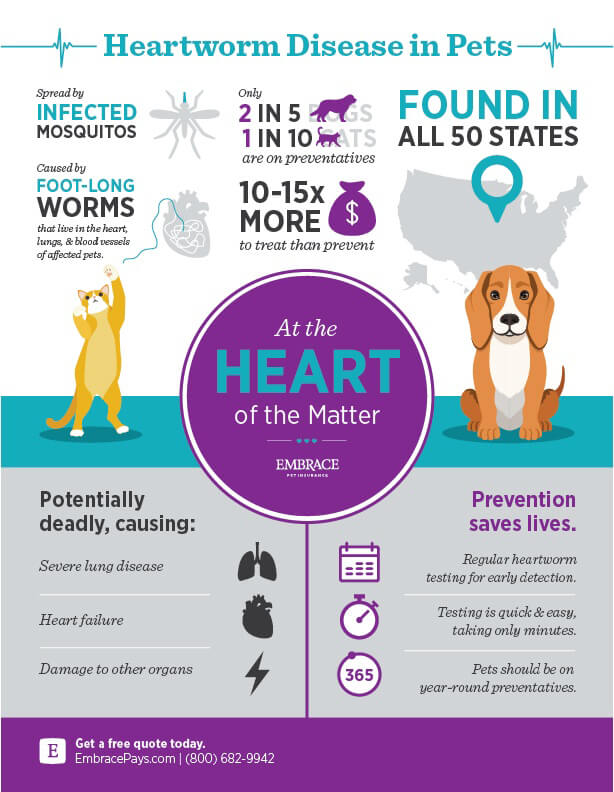 does pet insurance cover heartworm treatment the truth