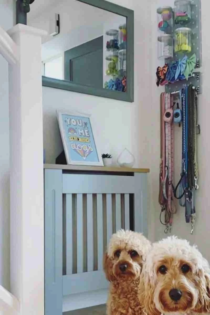 Dog Accessories Storage Ideas: Clever & Chic Solutions