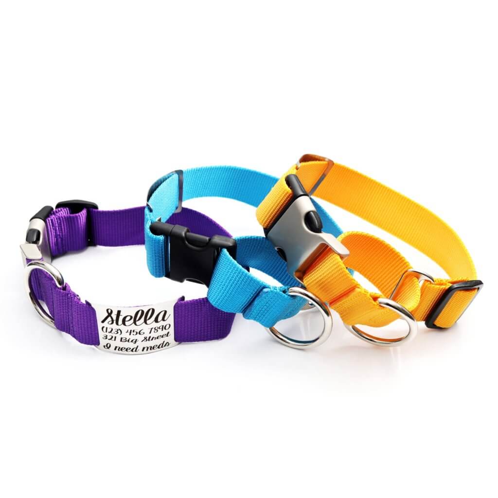 Dog Collars That Can’t Be Chewed Off: Unbreakable Picks