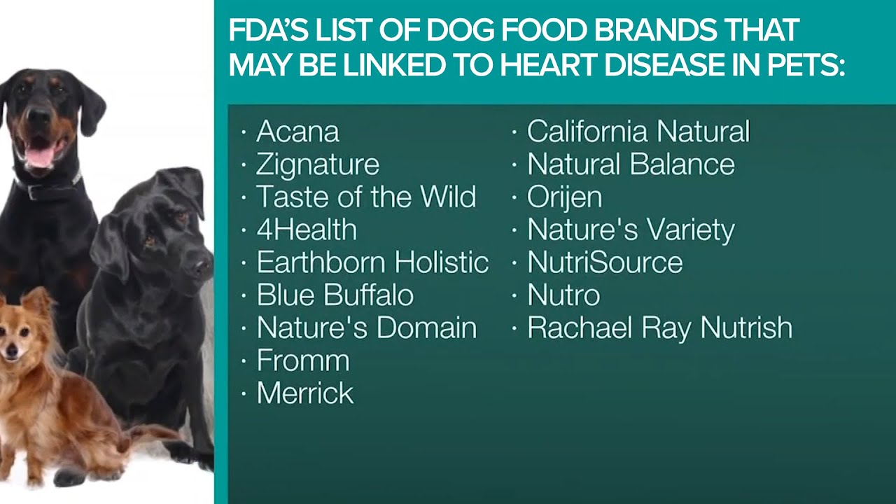 Dog Food Not Linked to Heart Disease: Myth Busted!