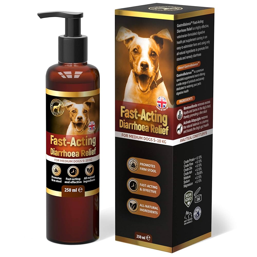 dog food stop diarrhea quick relief for your pet
